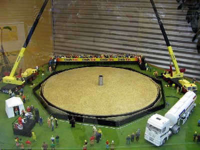 IMG_2981.JPG