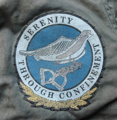 Stunt Serenity.JPG