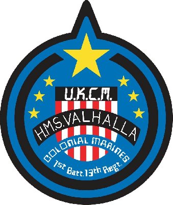 Valhalla ship-patch.JPG