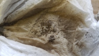 alclad-sludge-2.jpg