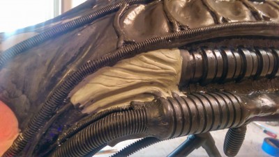 IMAG0135.jpg