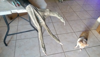 IMAG0168.jpg
