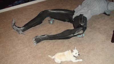 leg2.jpg