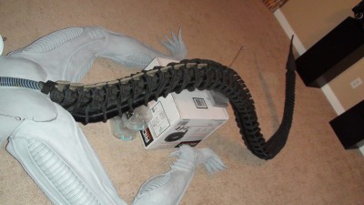 tail clay2.JPG