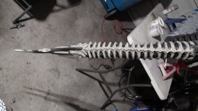 tail tip1.jpg