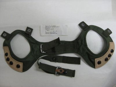 ear-harness.jpg