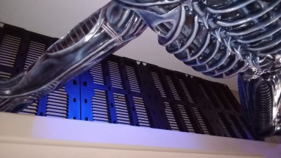 464336251_2278095109229209_5406749129057948165_n.jpg