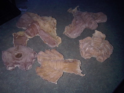 IMG00254-20100624-2042.jpg